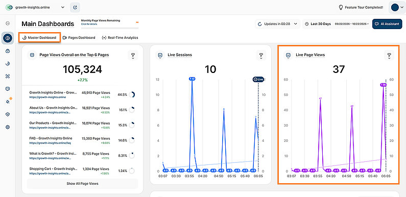 Live Page Views Report Block
